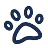 Dog Paw Icon